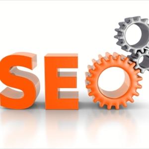 Top Search Engine Ranking - Why Must You Hire A SEO Consultant?