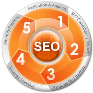 1000 Backlinks - Outsourcing SEO To India